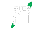 SeltrLogo_Company2023